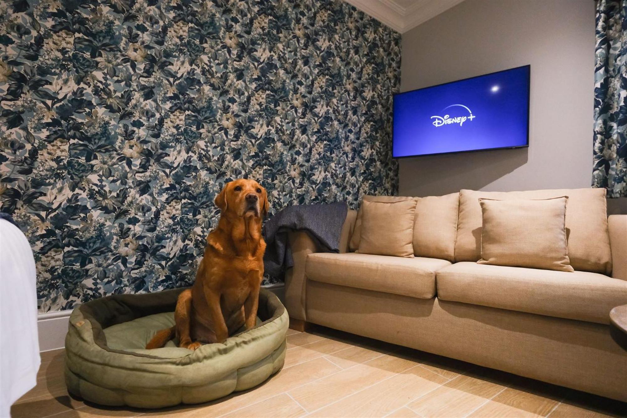 Mulberry House Konuk evi Ongar Dış mekan fotoğraf